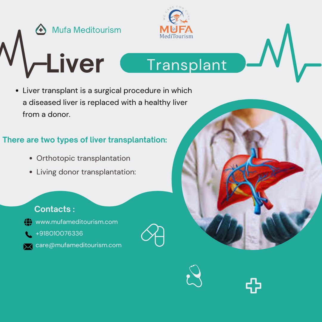 Read more about the article Navigating Liver Transplantation: A Guide for Patients and Caregivers